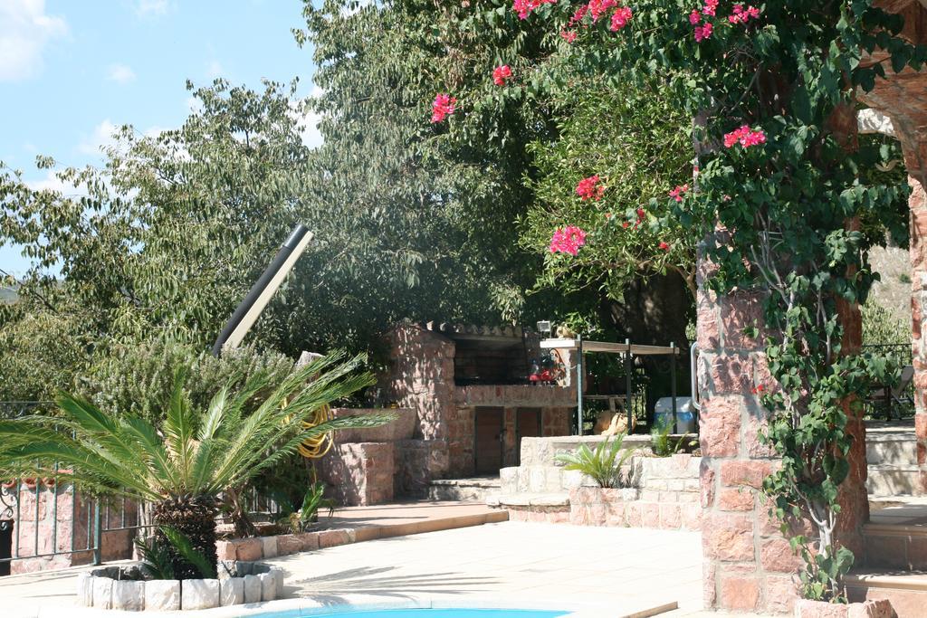 Apartments Villa Cucuk Budva Exterior photo